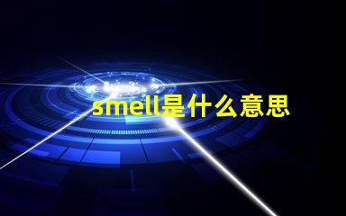 smell是什么意思 small是什么意思